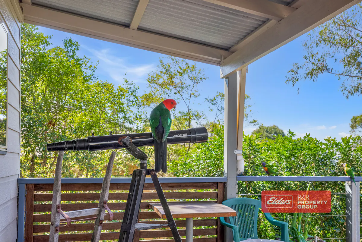 5 Eloiza Street — photo 16 of 25