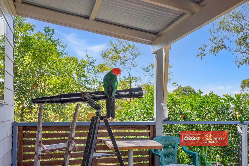 5 Eloiza Street, Dungog, NSW, 2420 - Image 16