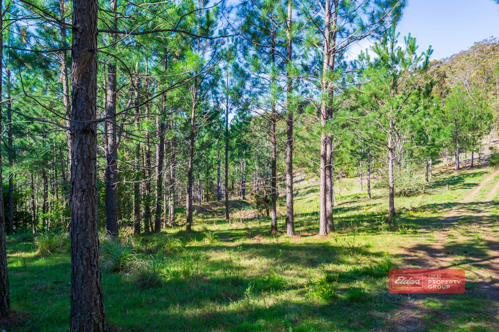 392 Baldy Knob Road, Limeburners Creek, NSW, 2324 - Image 4