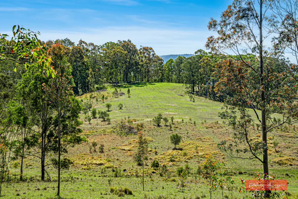 Lot 2/1811 Booral Road, Girvan, NSW, 2425 - Image 7