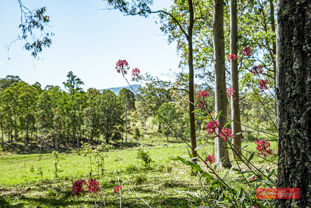 Lot 2/1811 Booral Road, Girvan, NSW, 2425 - Image 8