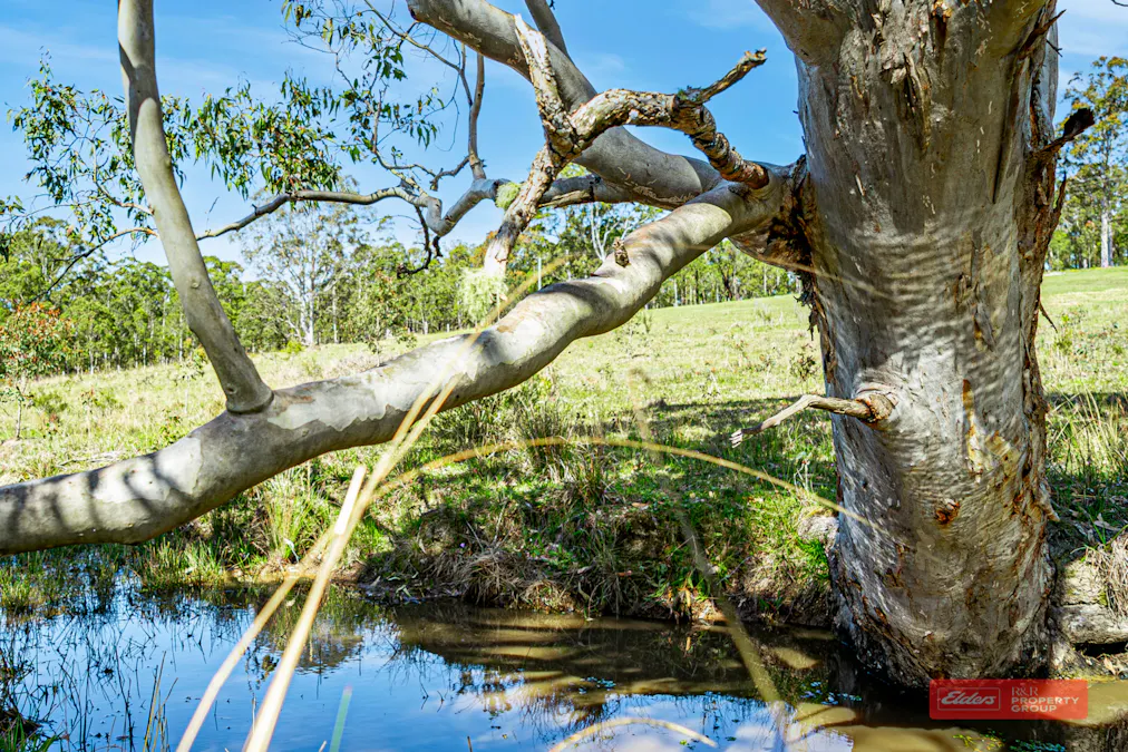 Lot 2/1811 Booral Road, Girvan, NSW, 2425 - Image 11
