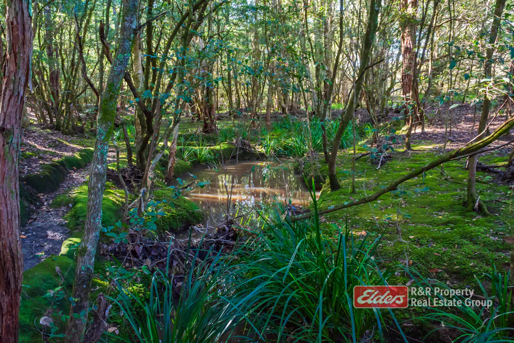 Lot 2/1811 Booral Road, Girvan, NSW, 2425 - Image 13