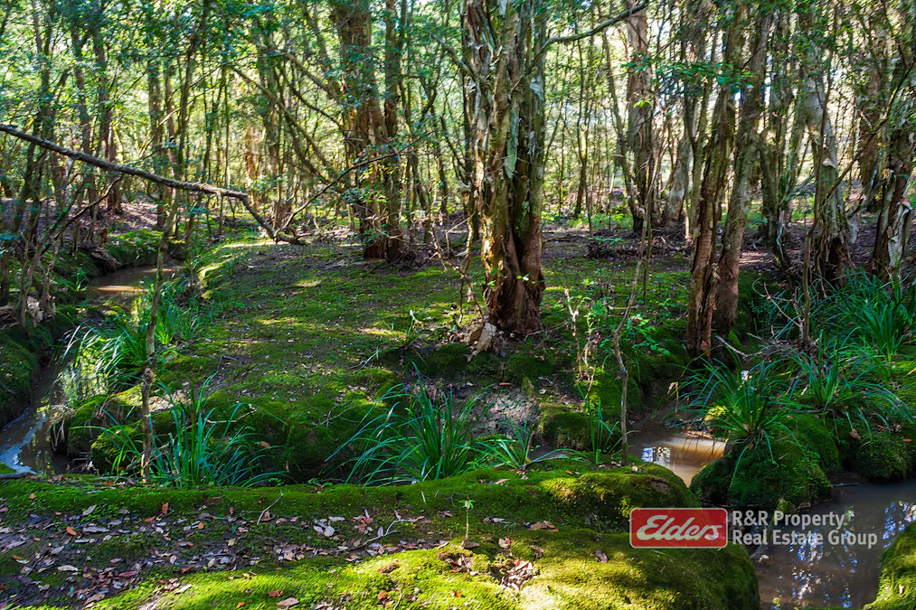 Lot 2/1811 Booral Road, Girvan, NSW, 2425 - Image 14