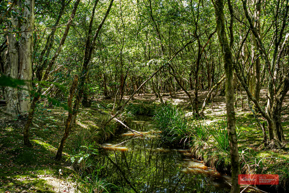Lot 2/1811 Booral Road, Girvan, NSW, 2425 - Image 15