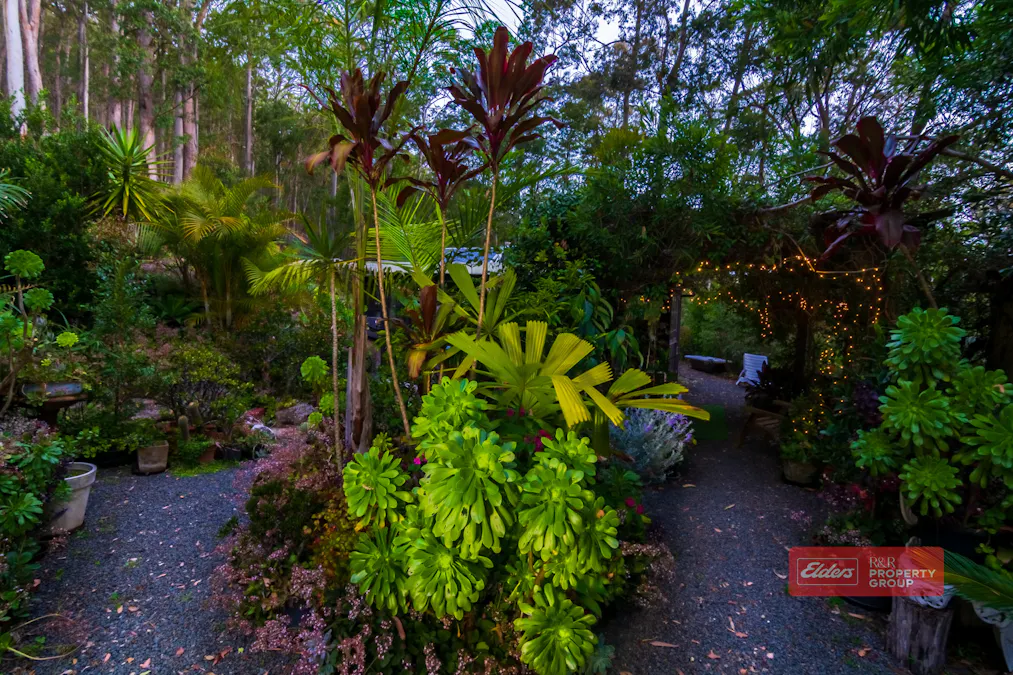 16 Old School House Road, Crawford River, NSW, 2423 - Image 4