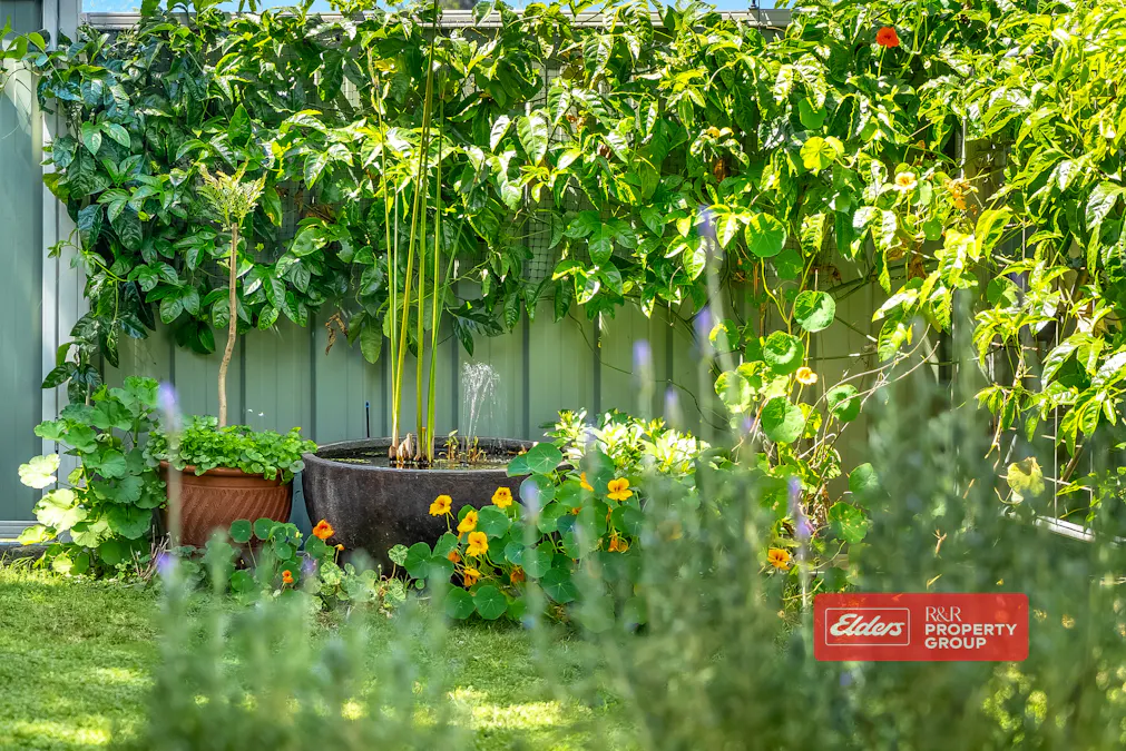 29 Mackay Street, Dungog, NSW, 2420 - Image 16