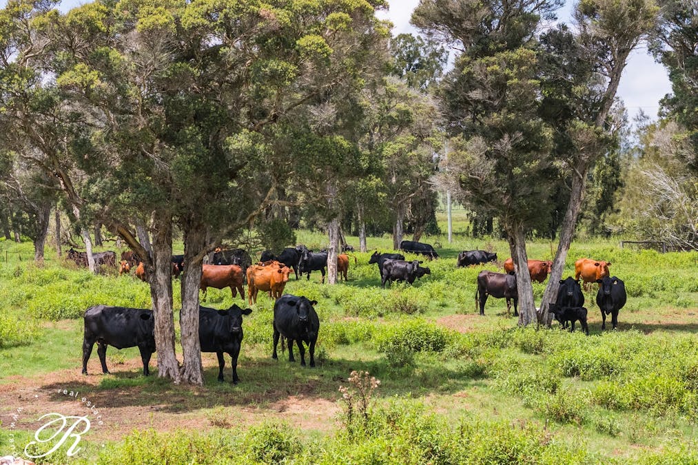 4 Killaloe Lane, East Seaham, NSW, 2324 - Image 8