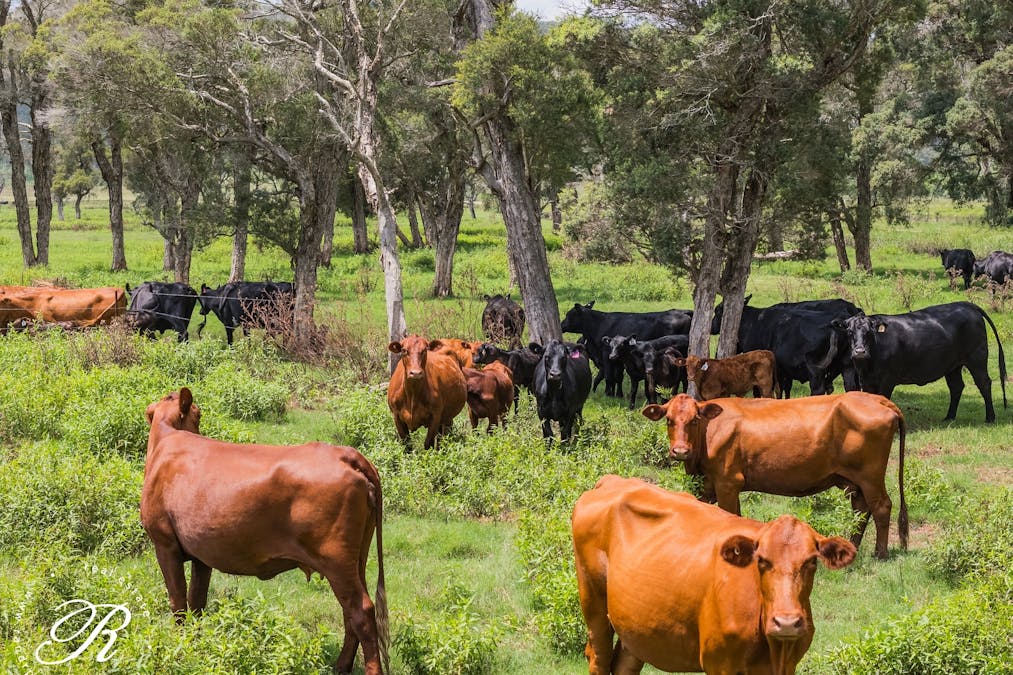 4 Killaloe Lane, East Seaham, NSW, 2324 - Image 9