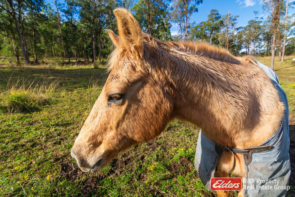 4 Bede Street, Stroud, NSW, 2425 - Image 32