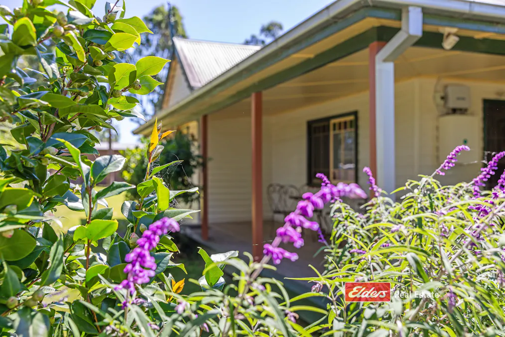 1540 Chichester Dam Road, Bandon Grove via, Dungog, NSW, 2420 - Image 14
