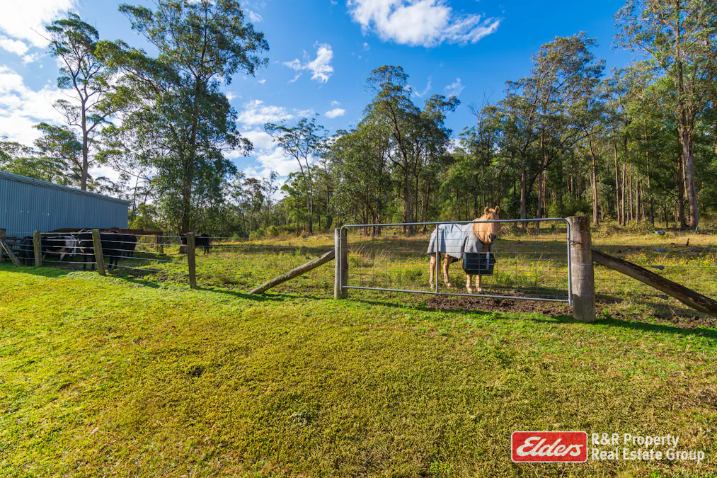 4 Bede Street, Stroud, NSW, 2425 - Image 19