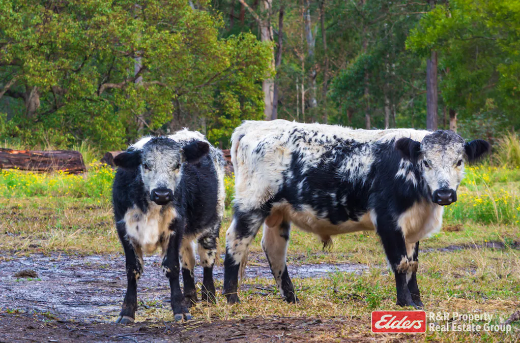 4 Bede Street, Stroud, NSW, 2425 - Image 21