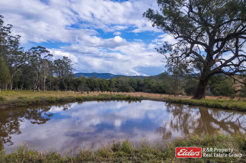 4 Bede Street, Stroud, NSW, 2425 - Image 22