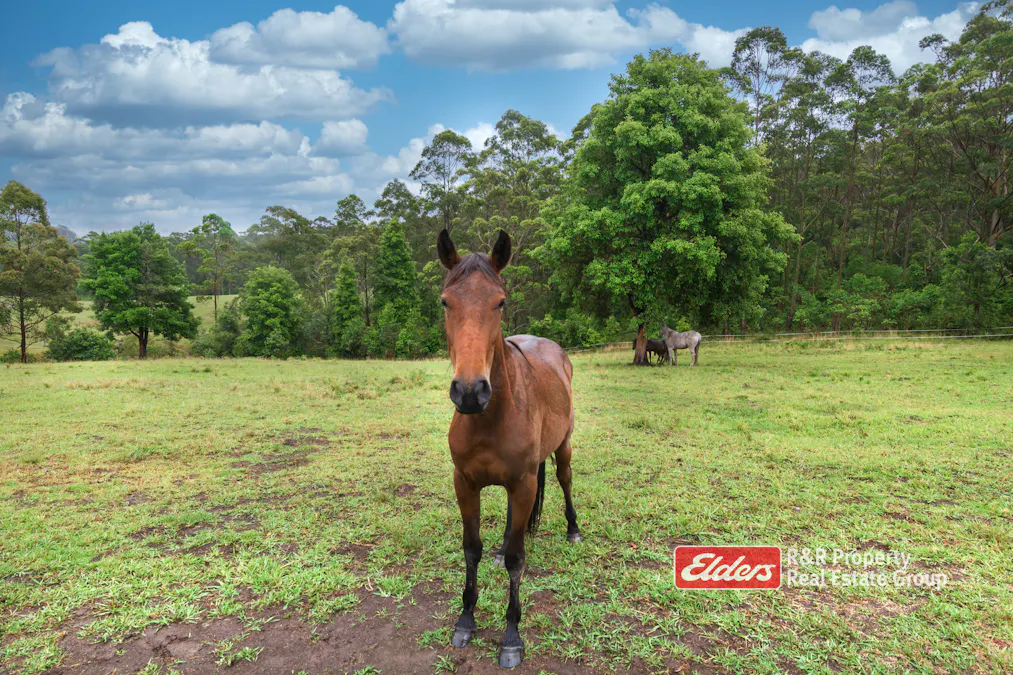 1822 Wootton Way, Wootton, NSW, 2423 - Image 16