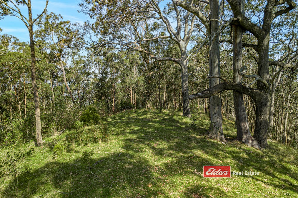 360 Myall Creek Road, Munni via, Dungog, NSW, 2420 - Image 23