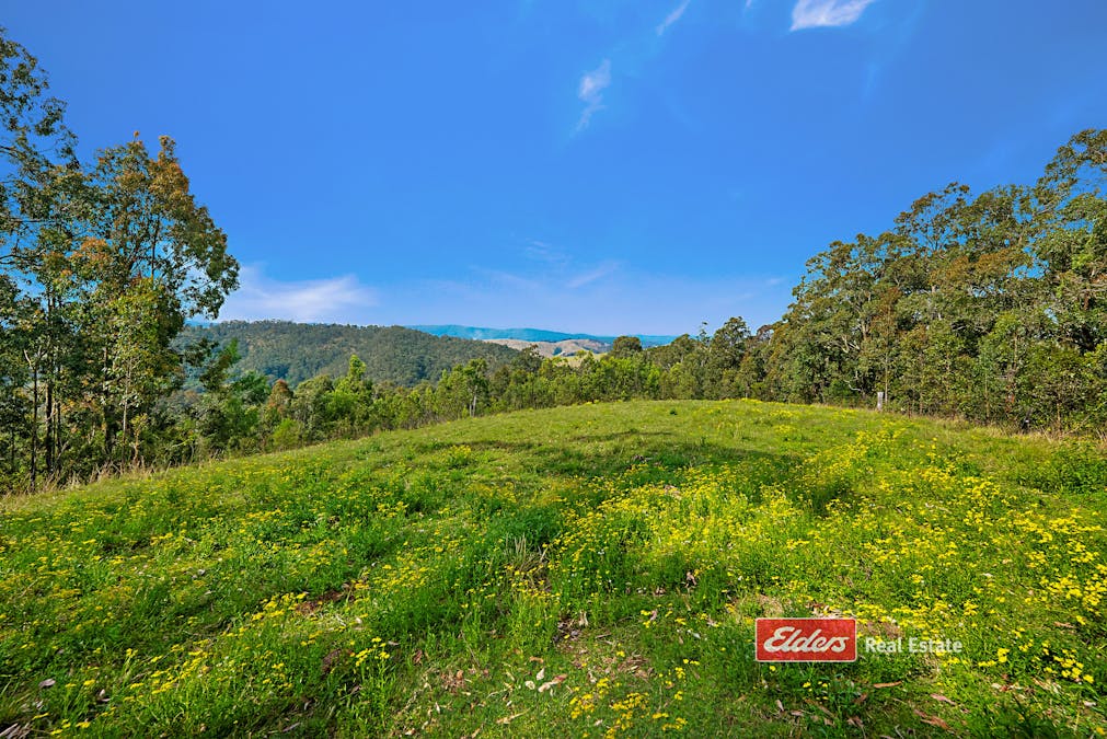 360 Myall Creek Road, Munni via, Dungog, NSW, 2420 - Image 28