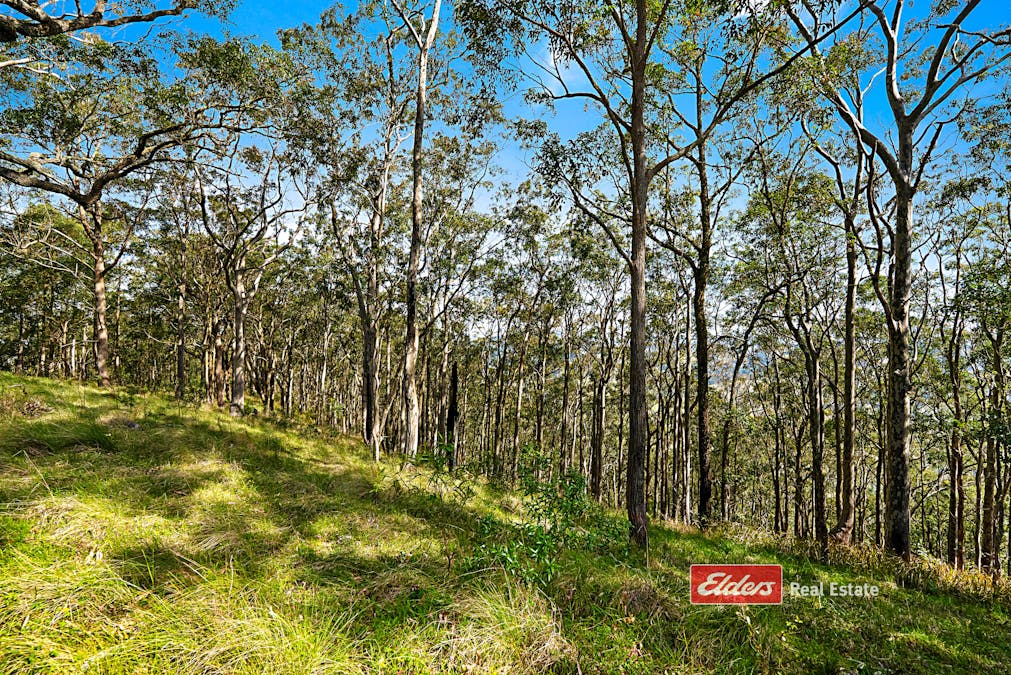 360 Myall Creek Road, Munni via, Dungog, NSW, 2420 - Image 30