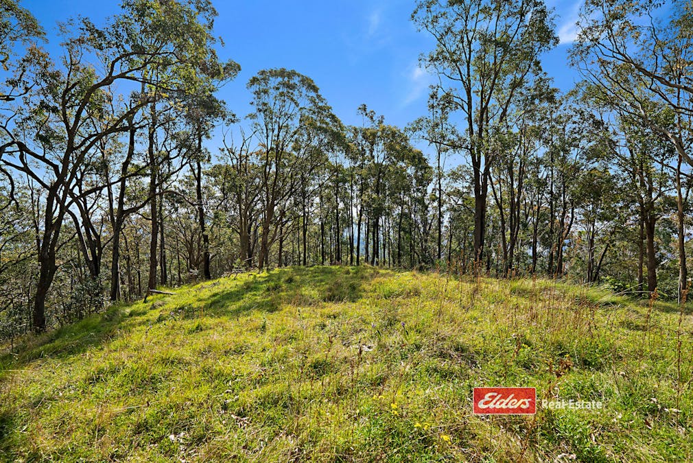 360 Myall Creek Road, Munni via, Dungog, NSW, 2420 - Image 31