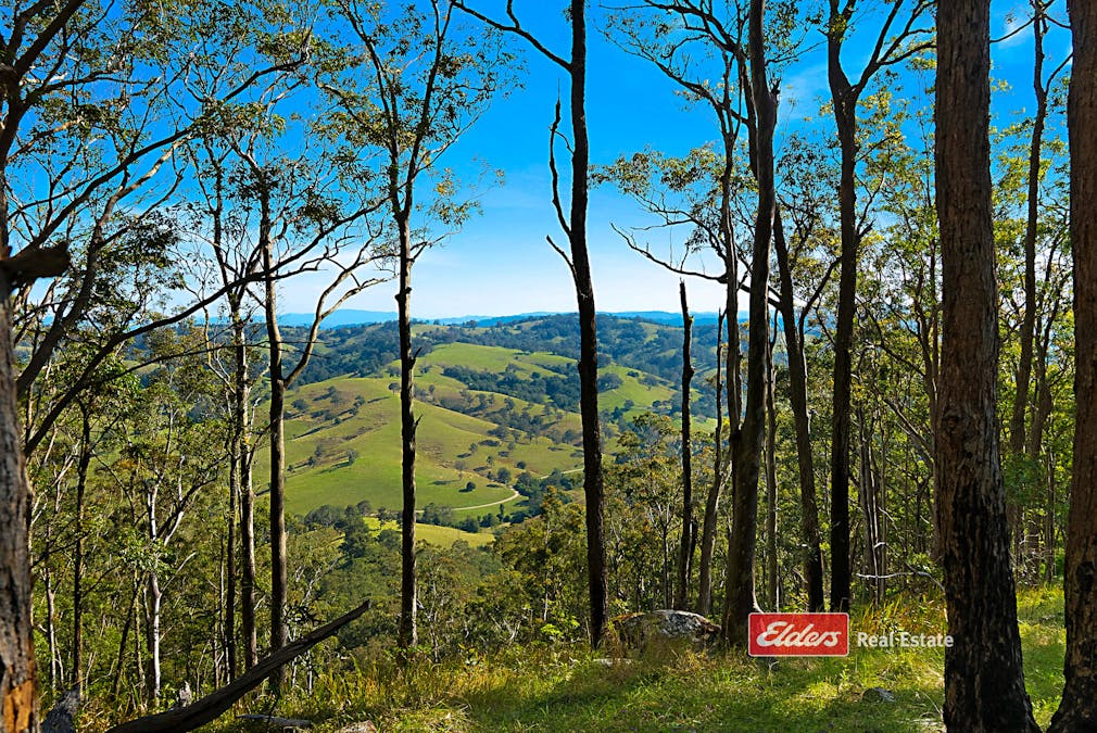 360 Myall Creek Road, Munni via, Dungog, NSW, 2420 - Image 33