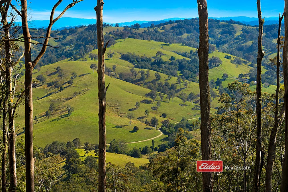 360 Myall Creek Road, Munni via, Dungog, NSW, 2420 - Image 34