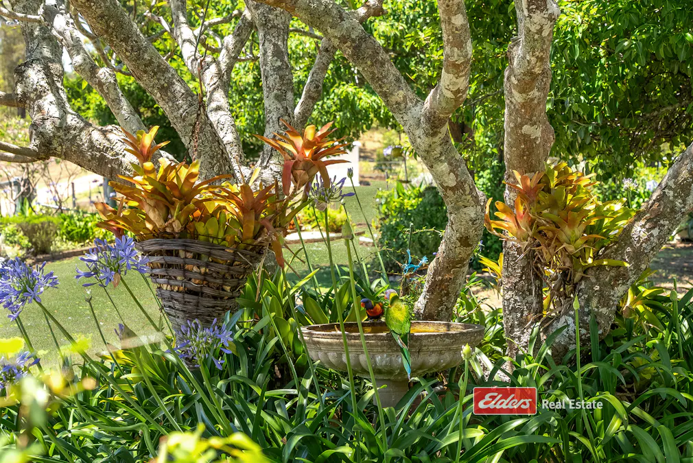 3783 Clarence Town Road, Brookfield, NSW, 2420 - Image 9