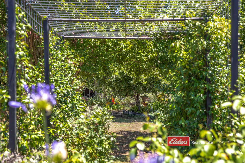 3783 Clarence Town Road, Brookfield, NSW, 2420 - Image 11