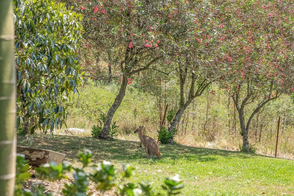 1247 Gresford Road, Vacy, NSW, 2421 - Image 32