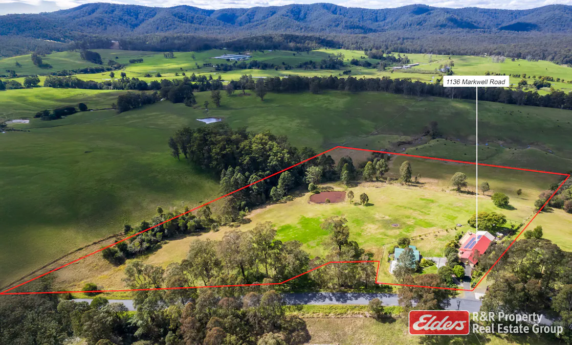 1136 Markwell Road, Markwell, NSW, 2423 - Image 1