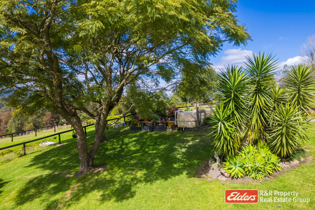 1136 Markwell Road, Markwell, NSW, 2423 - Image 22