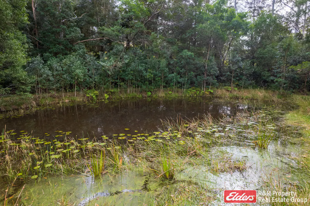 646 Newmans Road, Wootton, NSW, 2423 - Image 27