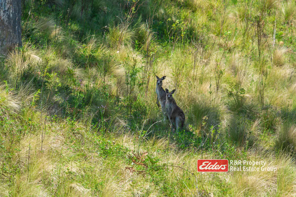 2241 Curricabark Road, Dewitt, NSW, 2422 - Image 20