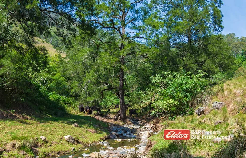 2241 Curricabark Road, Dewitt, NSW, 2422 - Image 33