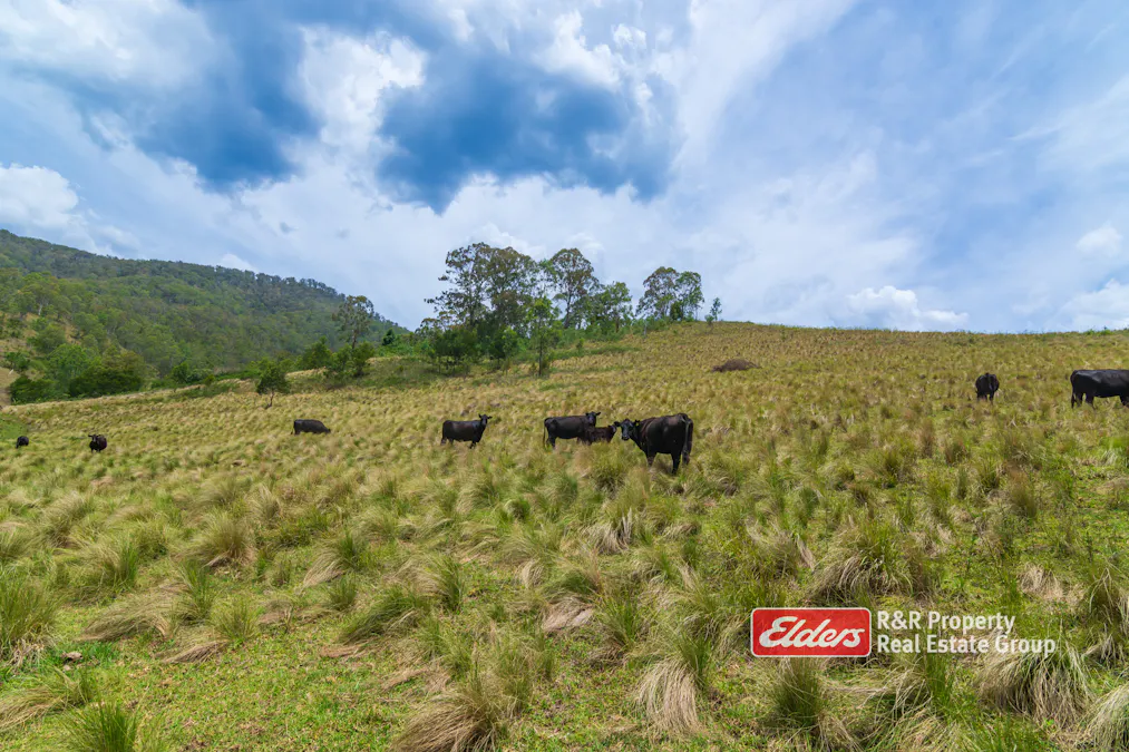 2241 Curricabark Road, Dewitt, NSW, 2422 - Image 12