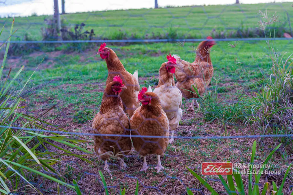 Lot 107 Tipperary Road, Tipperary via, Gloucester, NSW, 2422 - Image 25