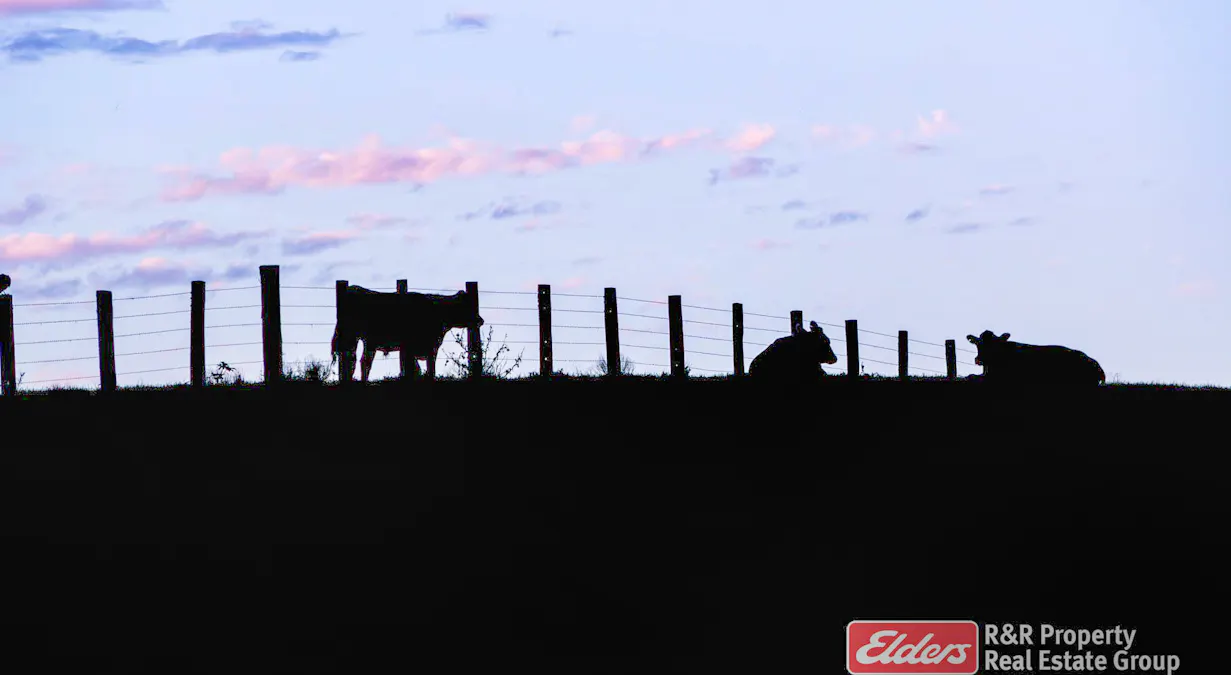 Lot 107 Tipperary Road, Tipperary via, Gloucester, NSW, 2422 - Image 32