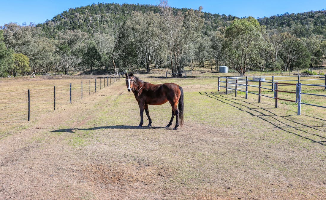 245 New England Gully Road, Tamworth, NSW, 2340 - Image 15