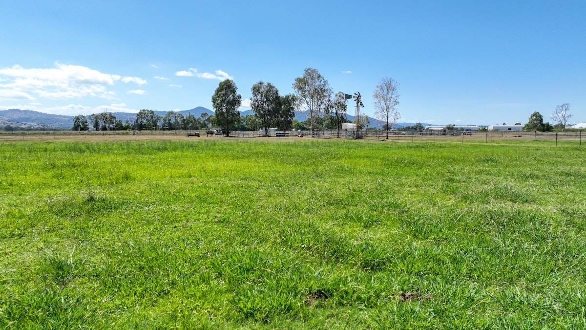 50 Flinders Street, Tamworth, NSW, 2340 - Image 6