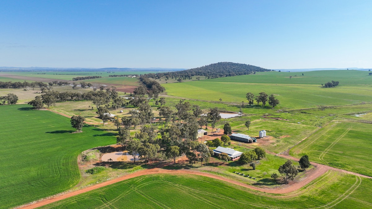 326 Wightman Road, Gunnedah, NSW, 2380 - Image 2