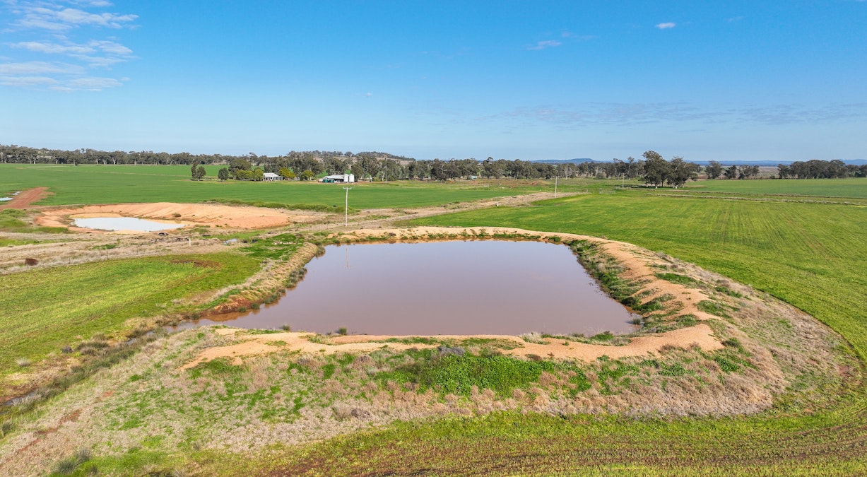 326 Wightman Road, Gunnedah, NSW, 2380 - Image 6