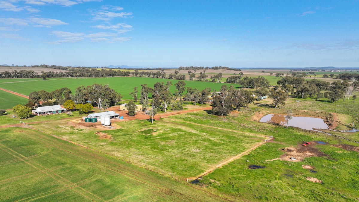 326 Wightman Road, Gunnedah, NSW, 2380 - Image 3