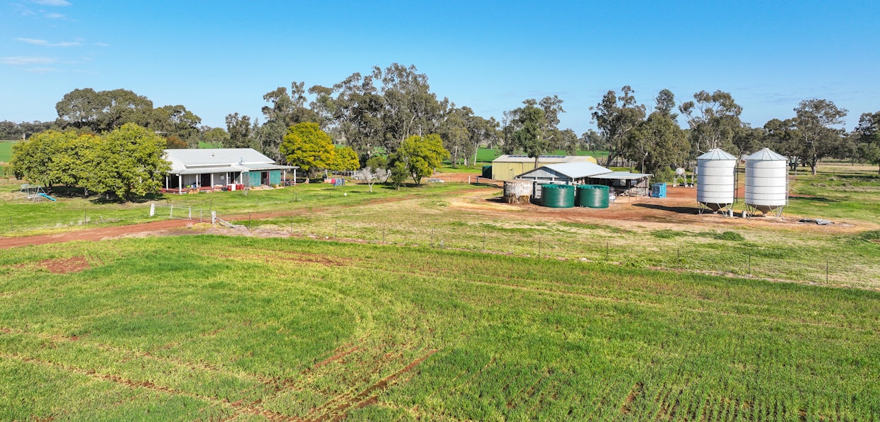 326 Wightman Road, Gunnedah, NSW, 2380 - Image 4