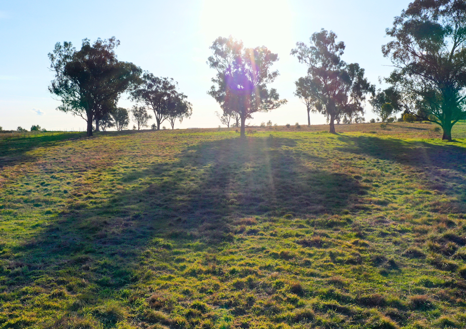 Lot 5 Warral-Bithramere Road, Tamworth, NSW, 2340 - Image 5