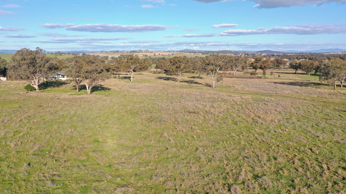 Lot 5 Warral-Bithramere Road, Tamworth, NSW, 2340 - Image 8