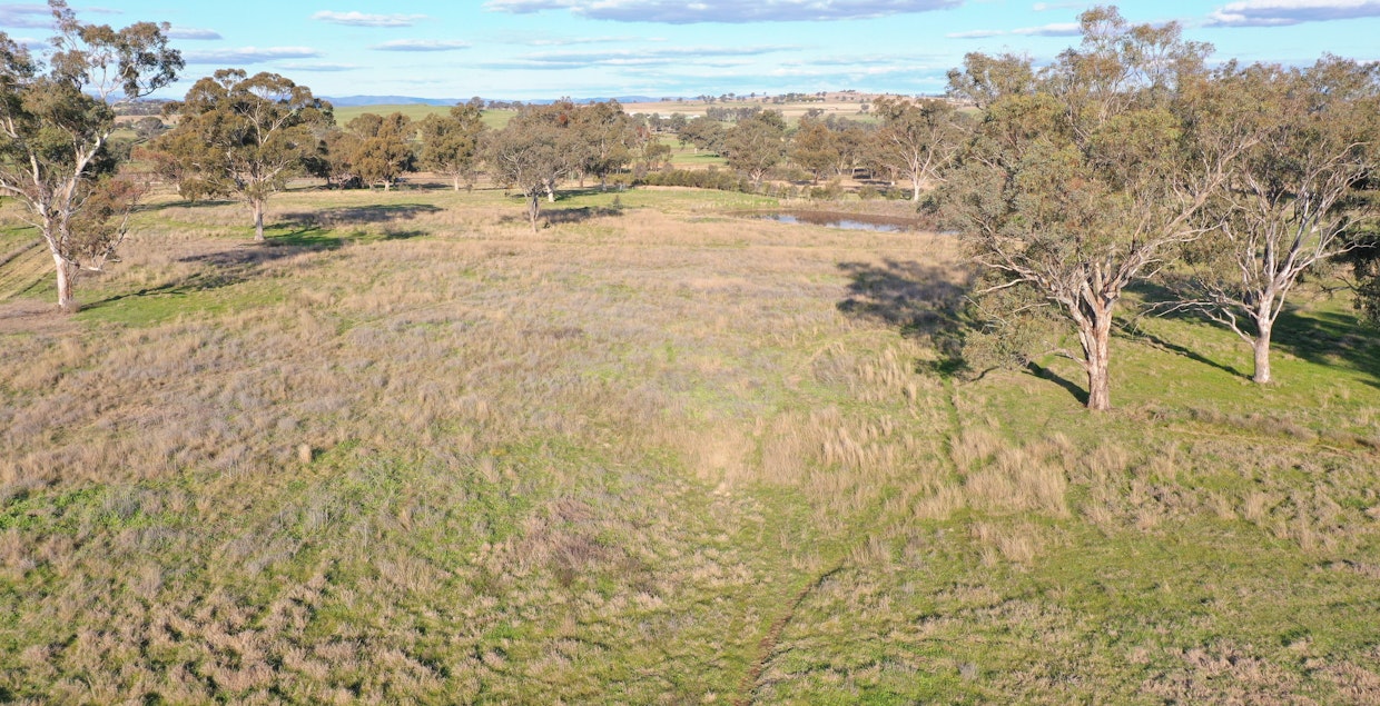 Lot 5 Warral-Bithramere Road, Tamworth, NSW, 2340 - Image 6