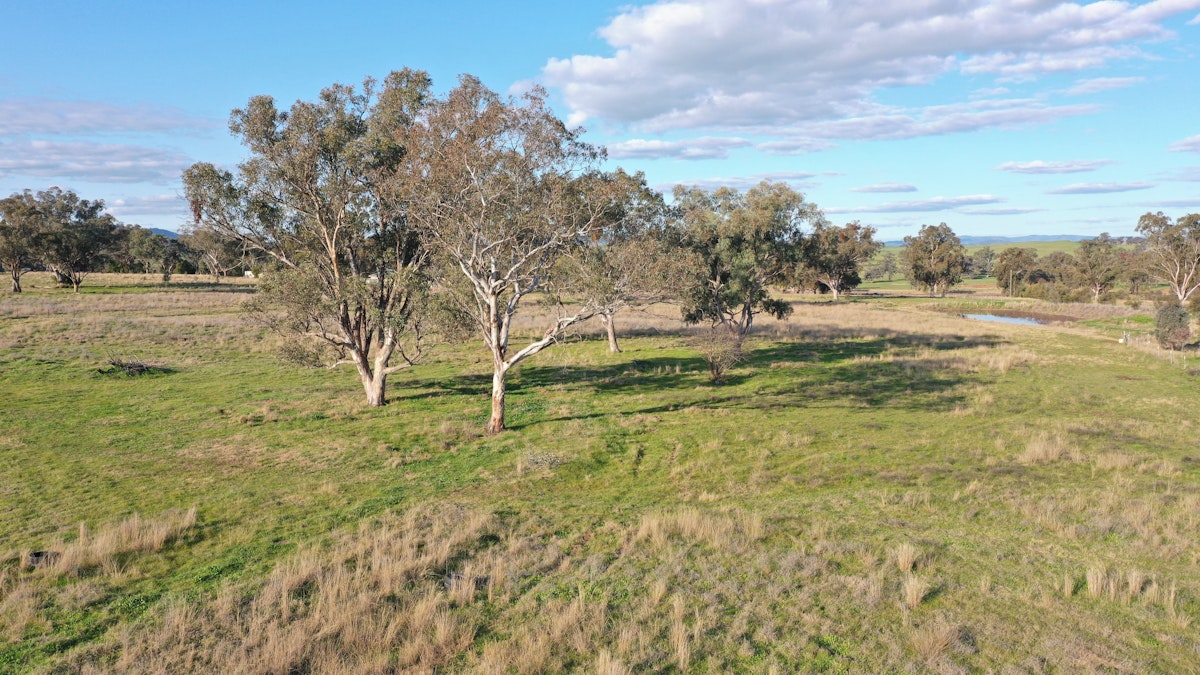 Lot 5 Warral-Bithramere Road, Tamworth, NSW, 2340 - Image 2