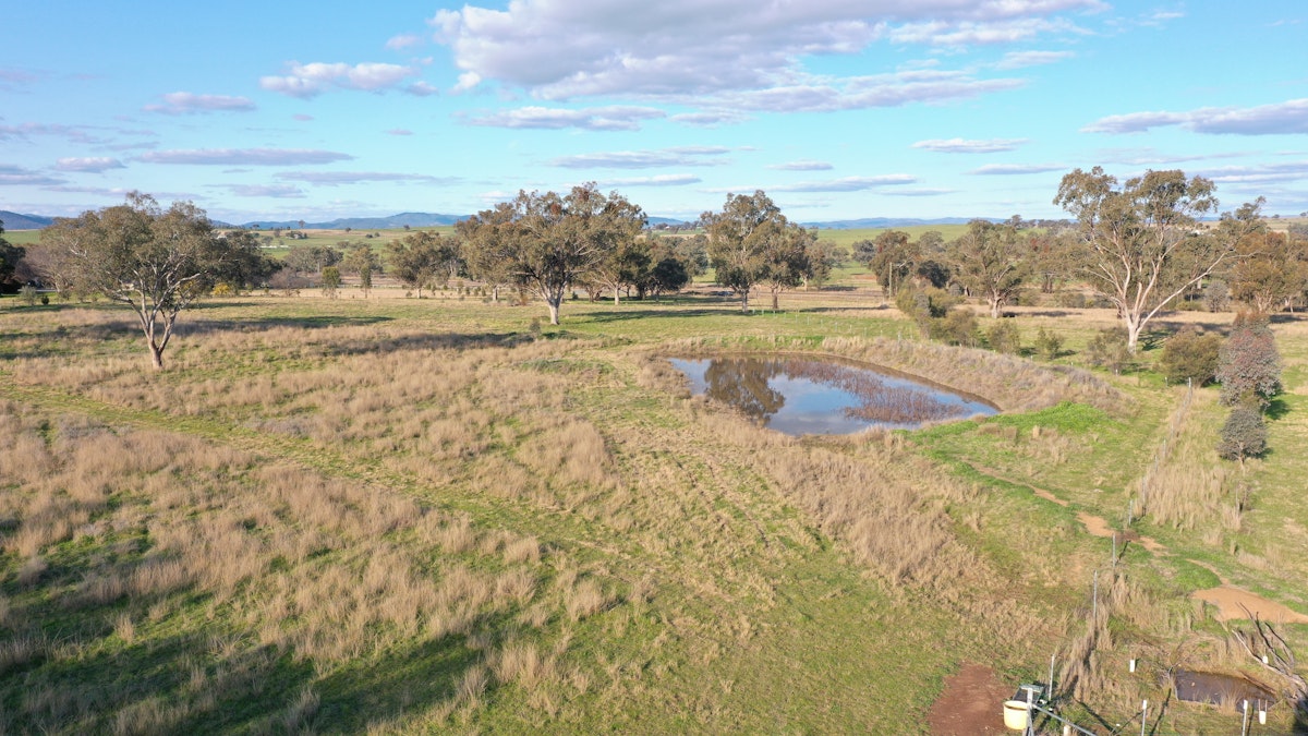 Lot 5 Warral-Bithramere Road, Tamworth, NSW, 2340 - Image 3