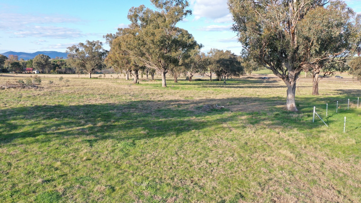 Lot 5 Warral-Bithramere Road, Tamworth, NSW, 2340 - Image 1