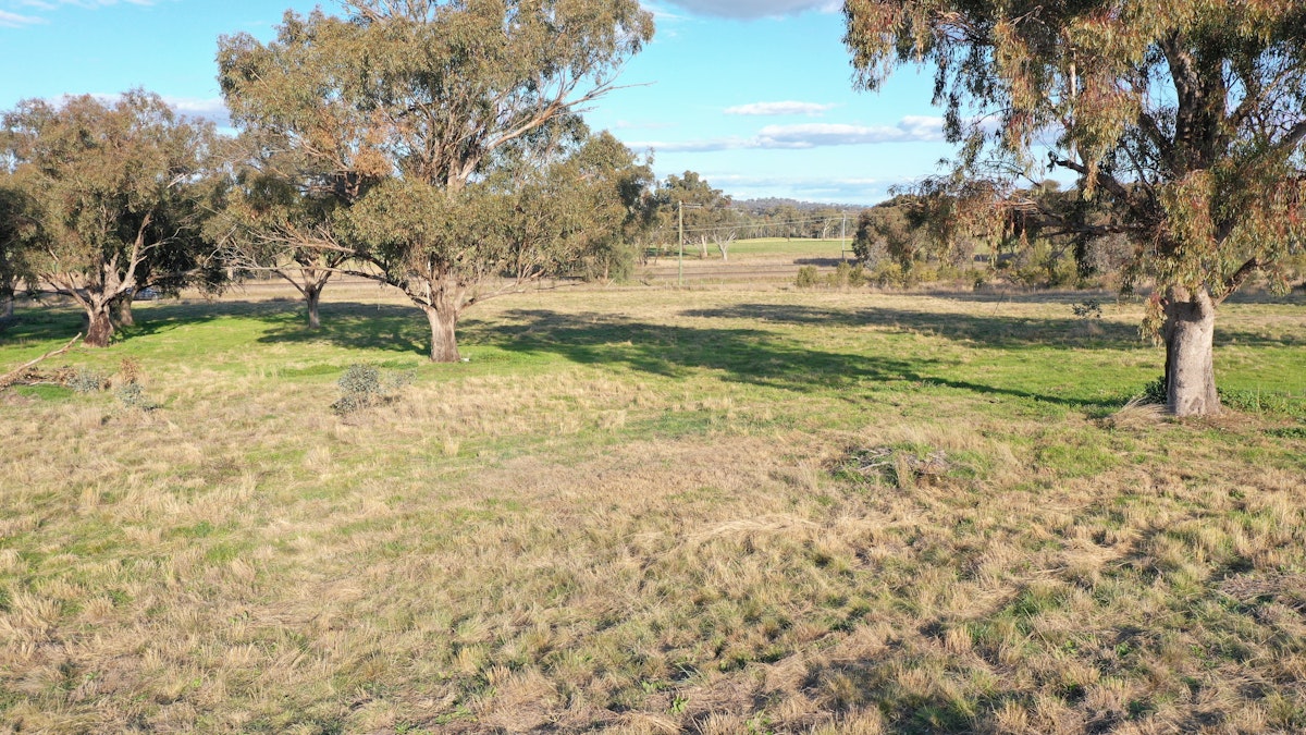 Lot 5 Warral-Bithramere Road, Tamworth, NSW, 2340 - Image 9