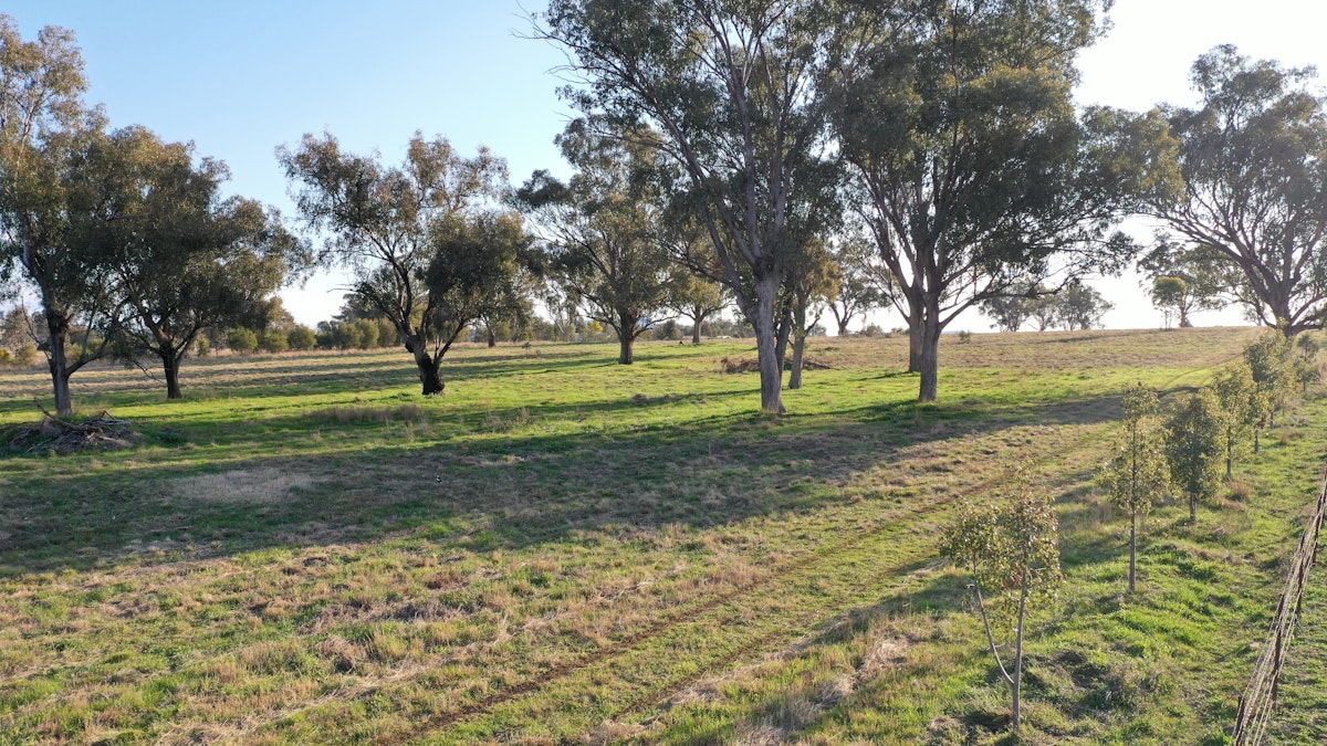 Lot 5 Warral-Bithramere Road, Tamworth, NSW, 2340 - Image 10